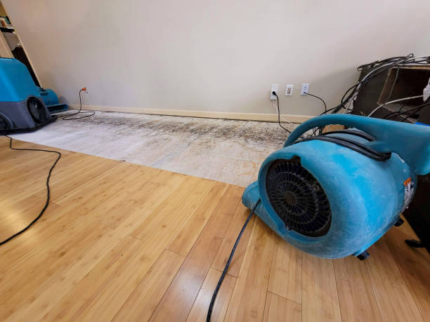 Reliable Burst Pipe Water Damage contractor in Lebanon, NJ by Hirex Water Damage