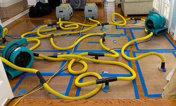 Professional Burst Pipe Water Damage technician working in Lebanon, NJ